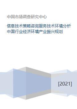 信息技術策略咨詢服務在中國行業經濟環境下的技術環境分析與產業振興規劃